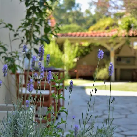 Apartamento The Archontariki *