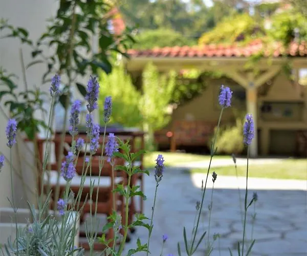 公寓 The Archontariki *